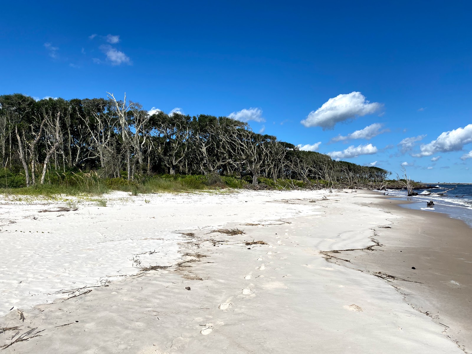 Black rock beach的照片 带有碧绿色纯水表面