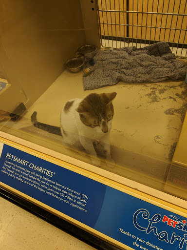 Pet Supply Store «PetSmart», reviews and photos, 1013 W University Ave, Georgetown, TX 78628, USA