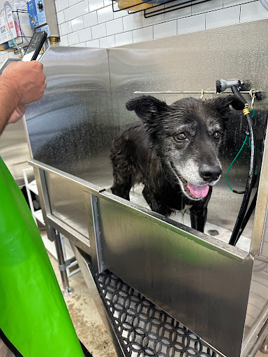 petbar Boutique - Roswell