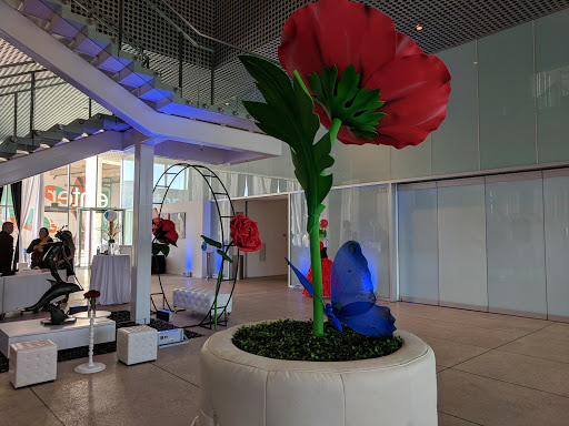 Art Museum «Tampa Museum of Art», reviews and photos, 120 W Gasparilla Plaza, Tampa, FL 33602, USA