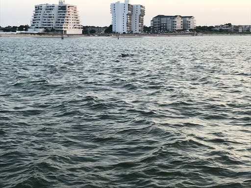 Water Sports Equipment Rental Service «Tula Adventure Sports Stand up Paddleboard & Wakeboard», reviews and photos, 2100 Marina Shores Dr #3, Virginia Beach, VA 23451, USA