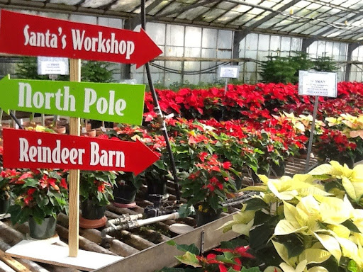 Florist «Swan Floral & Gift Shop», reviews and photos, 4311 Dixie Hwy, Erlanger, KY 41018, USA