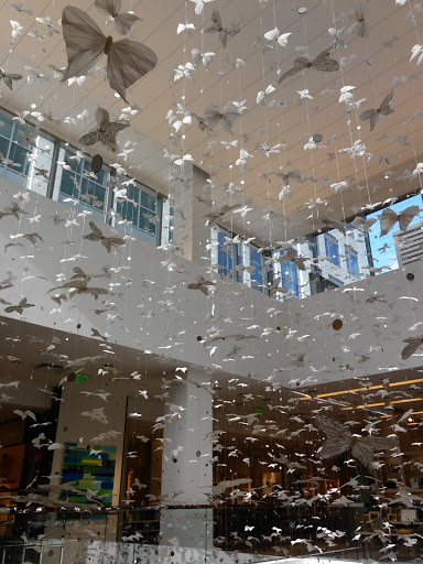 Clothing Store «Neiman Marcus», reviews and photos, 11111 NE 8th St, Bellevue, WA 98004, USA