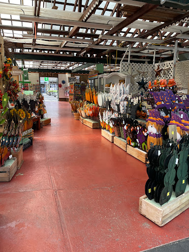 Garden Center «Dees Nursery & Florist», reviews and photos, 69 Atlantic Ave, Oceanside, NY 11572, USA