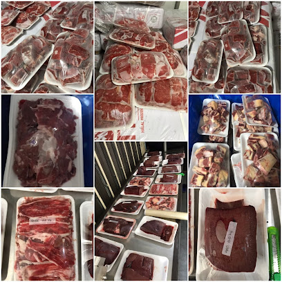 CV Albantany Group Agen Daging Fresh & Frozen