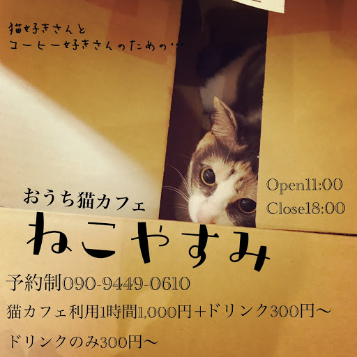 おうち猫カフェ ねこやすみ カフェ