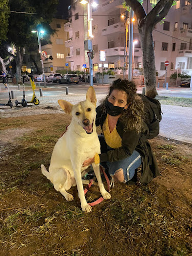 Opinii despre אילוף כלבים באהבה ❤ I שרון וינשטיין - מאלפת כלבים ומטפלת התנהגותית I מאלף כלבים בתל אביב והמרכז în תל אביב-יפו - וטרינר