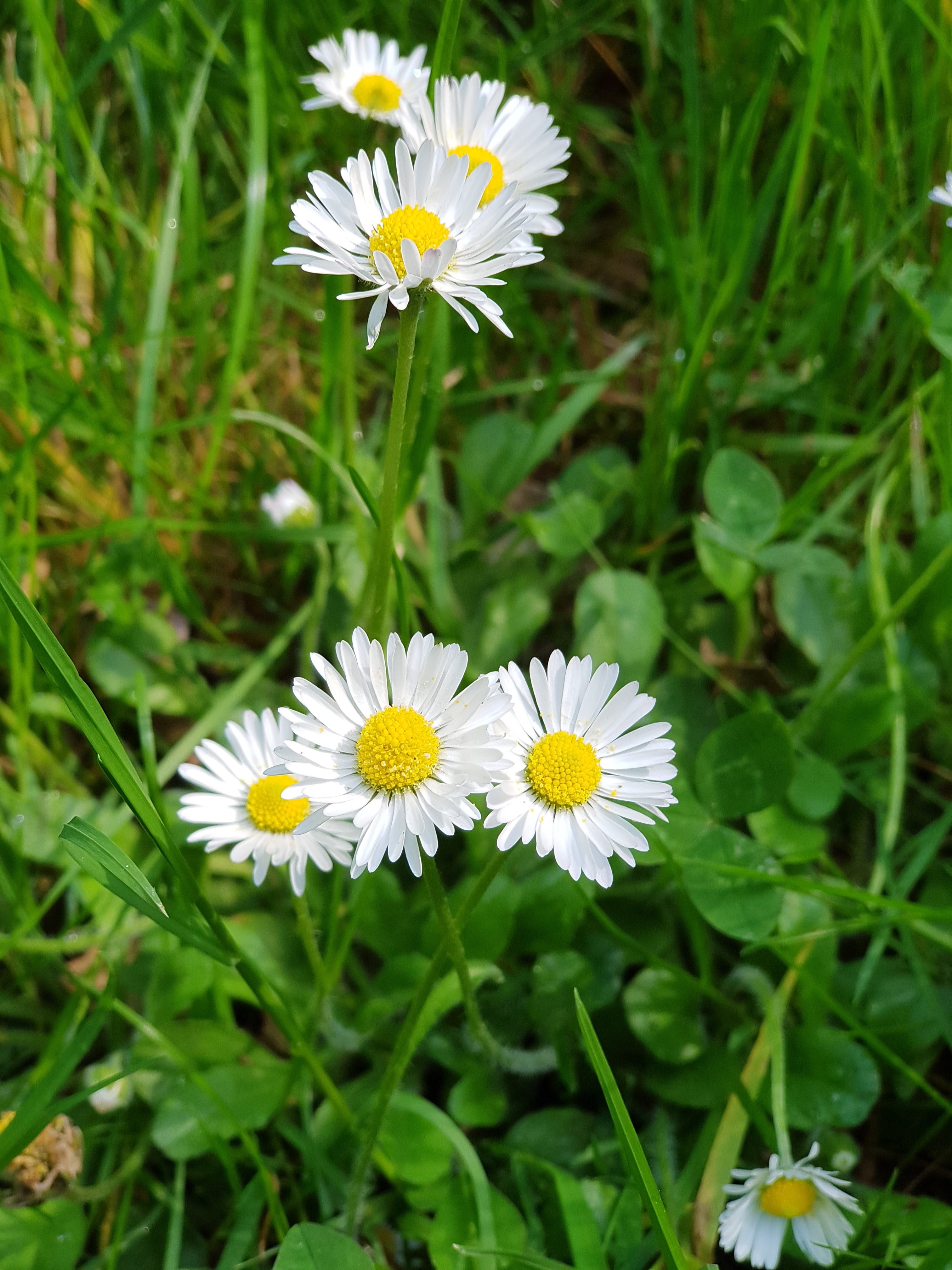 Photo n° 6 de l'avis de Christophe.e fait le 08/05/2018 à 08:06