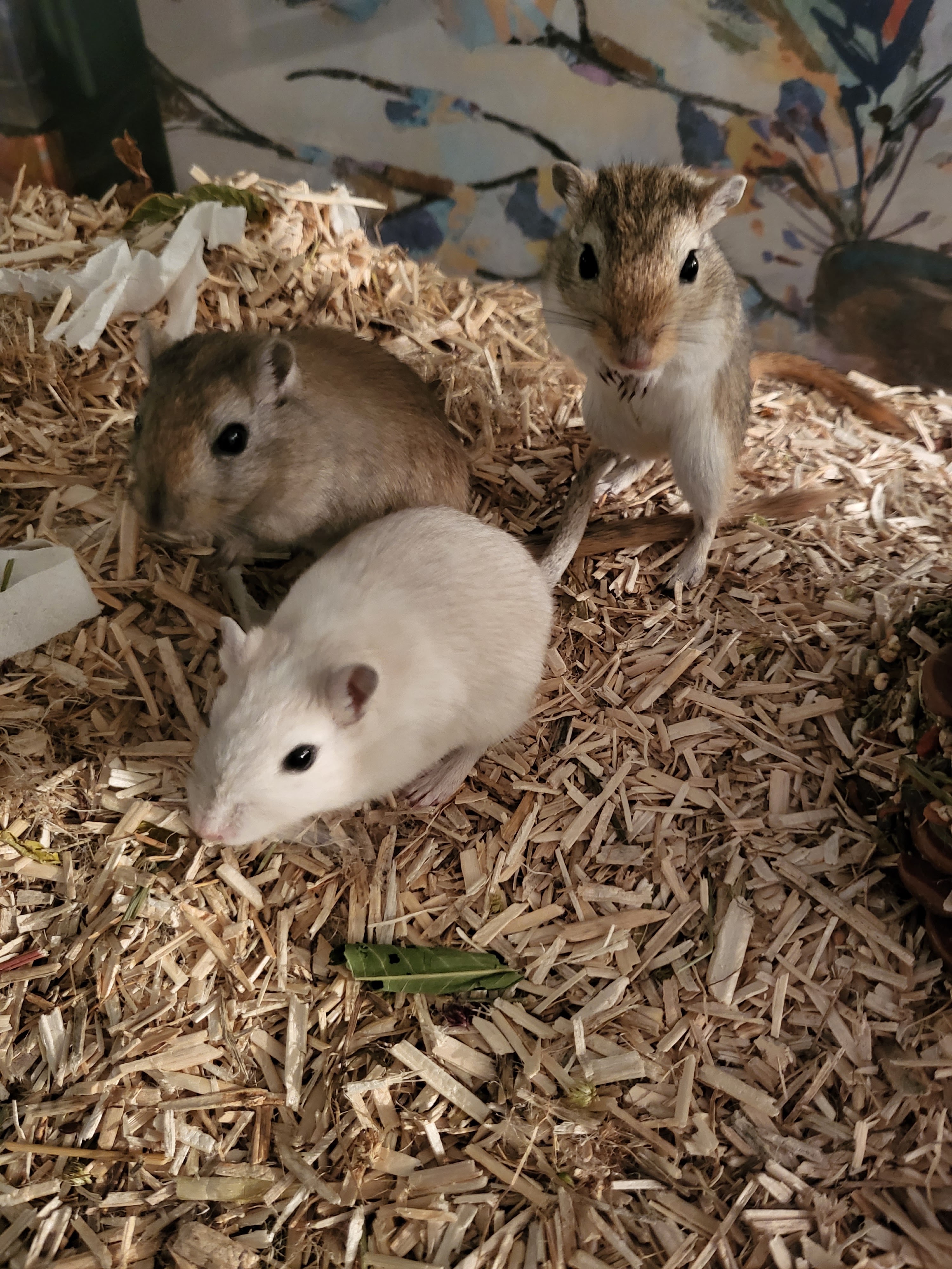 Photo n° 1 de l'avis de Laëtitia.e fait le 14/02/2024 à 00:33