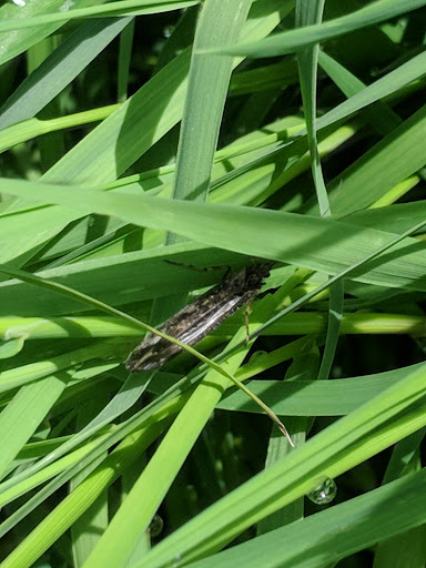 Golf Course «Interbay Golf Center», reviews and photos, 2501 15th Ave W, Seattle, WA 98119, USA