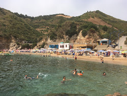 Photo de Plage Ravin des Lions (La Carriere) et le règlement