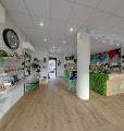 relais chronopost GREEN DREAM CBD SHOP TOULON