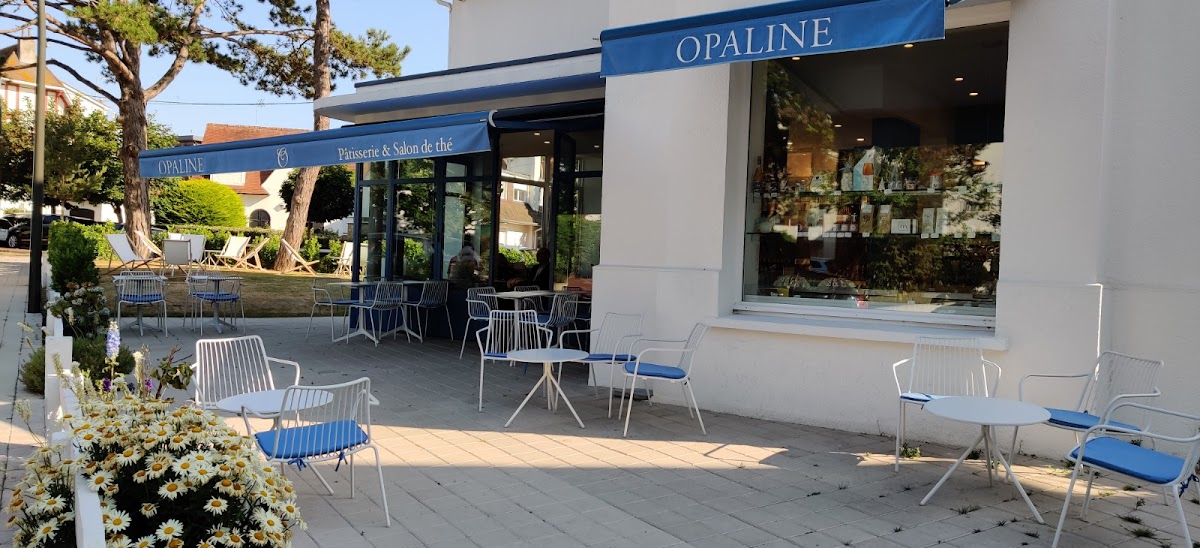 Opaline à Le Touquet-Paris-Plage (Pas-de-Calais 62)