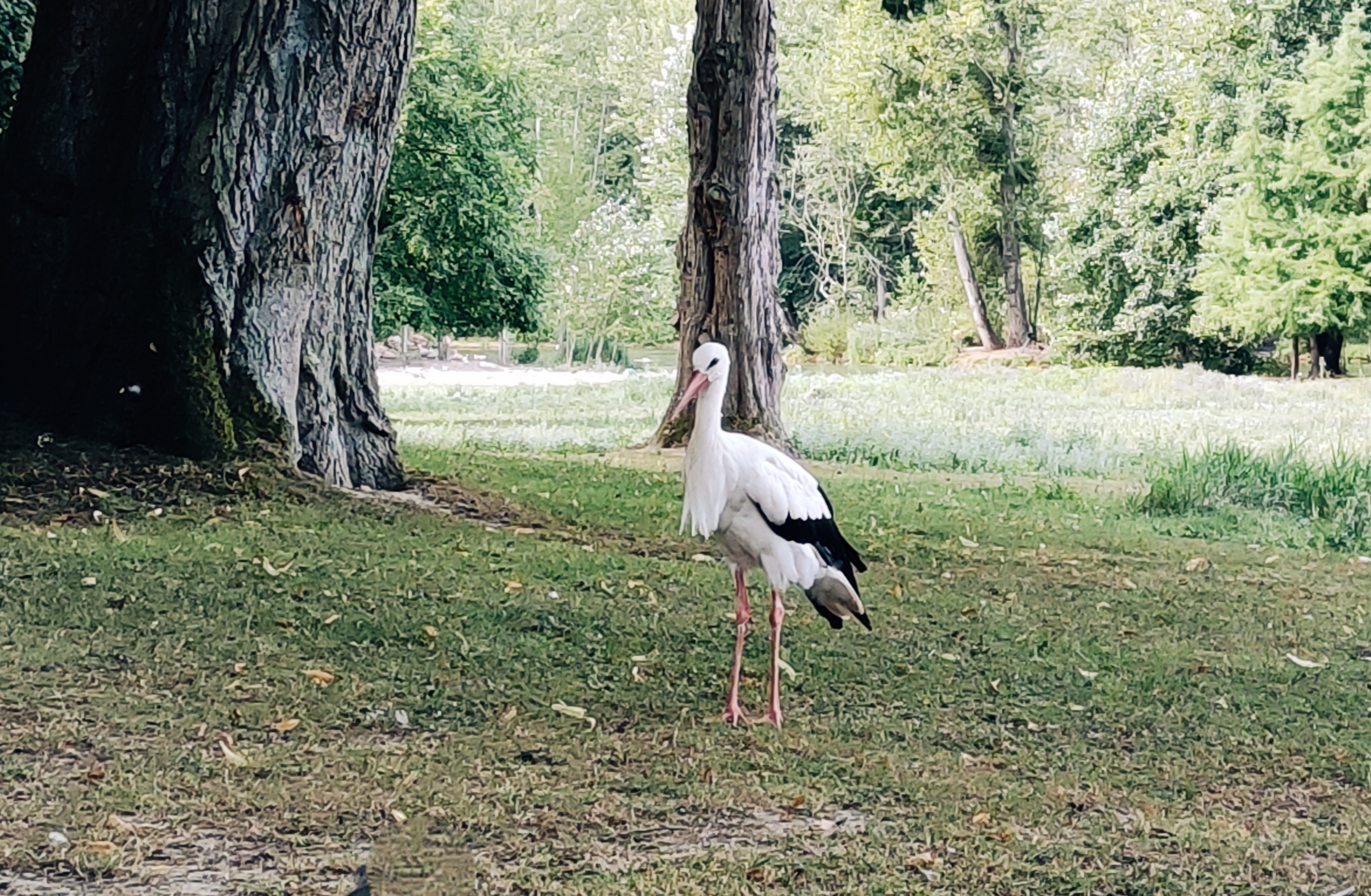 Photo n° 6 de l'avis de Florence.u fait le 06/08/2022 à 18:14