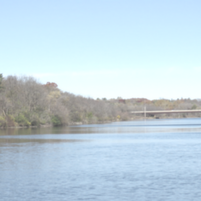 Reviews For The Law Offices of Andrew Nickel, LLC