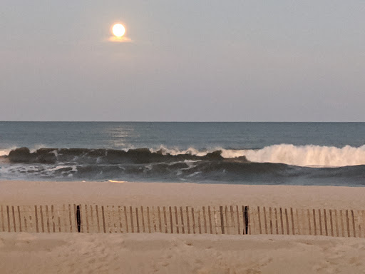 Surf Shop «Eastern Lines Surf Shop», reviews and photos, 1605 Ocean Ave, Belmar, NJ 07719, USA