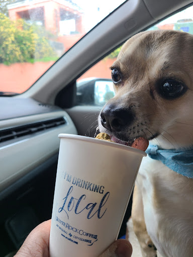 Coffee Shop «White Rock Coffee», reviews and photos, 10105 Northwest Hwy, Dallas, TX 75238, USA