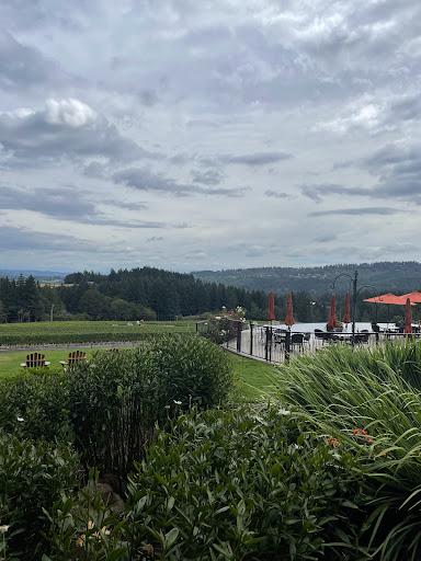 Winery «Blakeslee Vineyard Estate», reviews and photos, 20875 SW Chapman Rd, Sherwood, OR 97140, USA