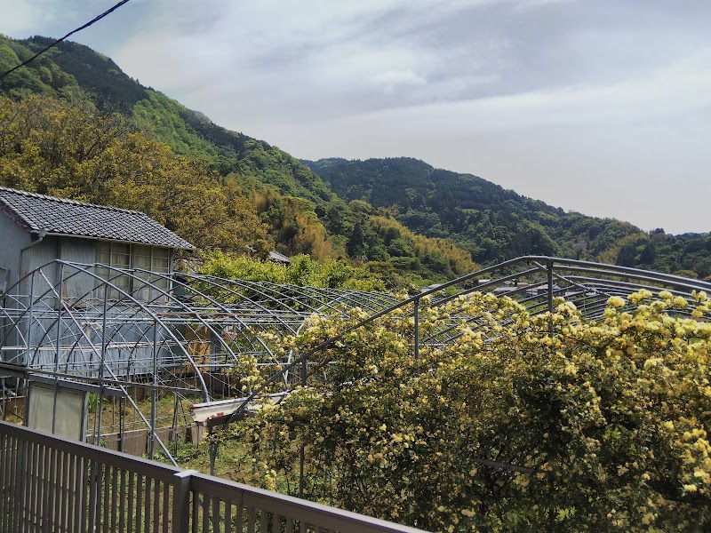 立花の吊橋