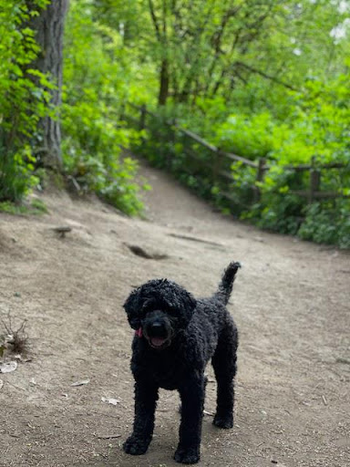 Insurance Agency «Chris Jones - State Farm Insurance Agent», reviews and photos