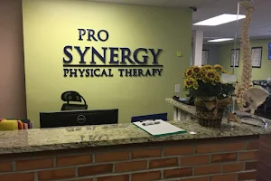 ProSynergy Physical Therapy, LLC image