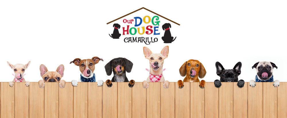 Our Dog House Camarillo
