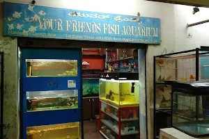 Your Friends Fish Aquarium image