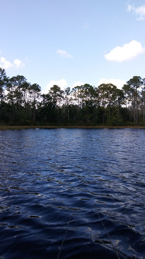 National Forest «Ocala National Forest», reviews and photos, 40929 FL-19, Umatilla, FL 32784, USA
