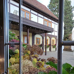 Photo n°3 de l'avis de F..p fait le 25/10/2022 à 16:06 sur le  Balzer Spa Café à Jonsdorf