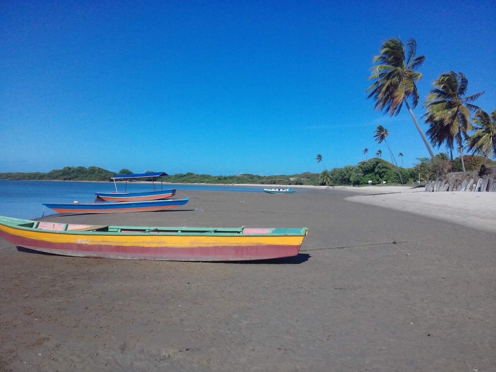 Fotografie cu Plaja Rio Mamanguape cu o suprafață de nisip strălucitor