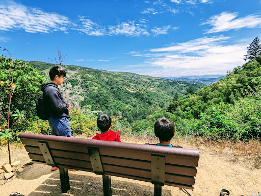 Uvas Canyon County Park image