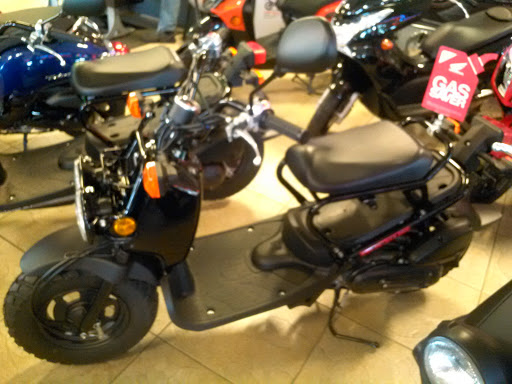 Motorcycle Dealer «McAllen Motor Sports», reviews and photos, 3608 N McColl Rd, McAllen, TX 78501, USA