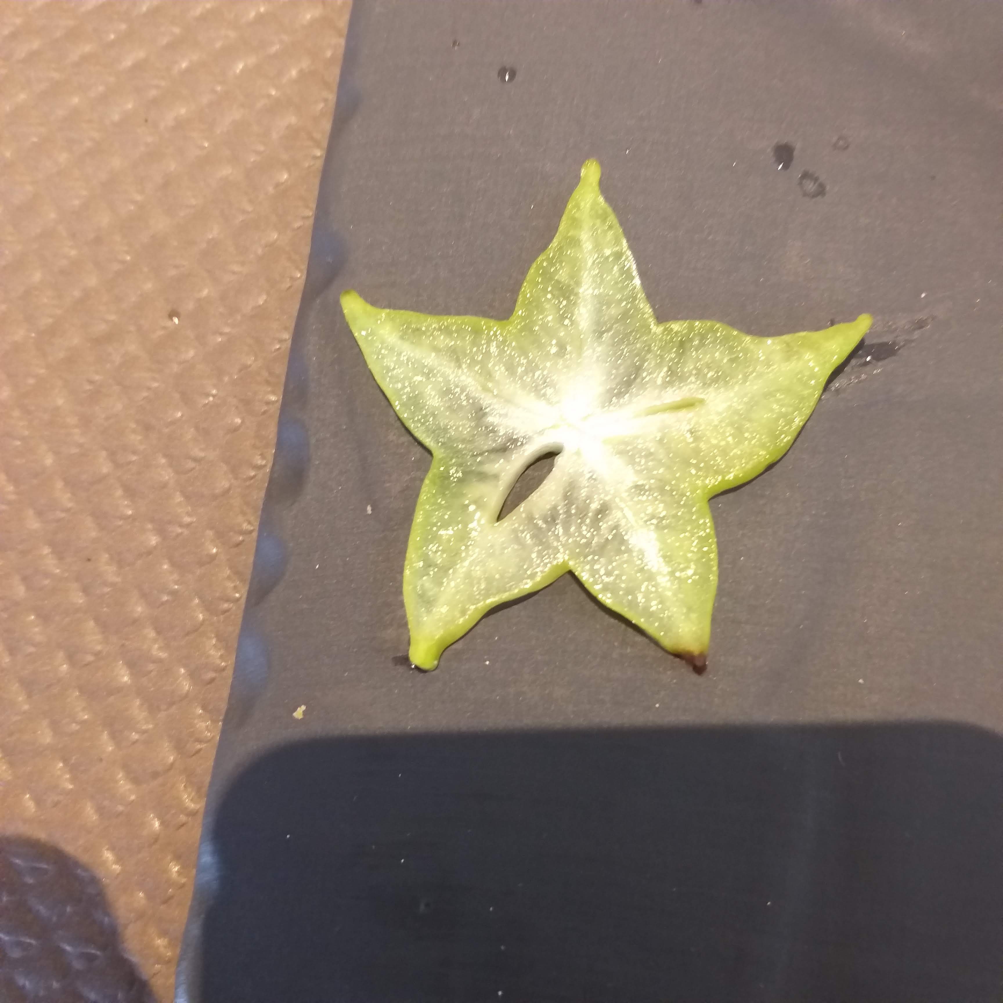 Photo n° 5 de l'avis de Corinne.s fait le 14/09/2019 à 13:41