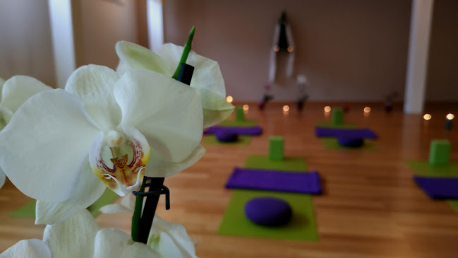Rezensionen über Praxis Geerdet & Beseelt in Oftringen - Yoga-Studio