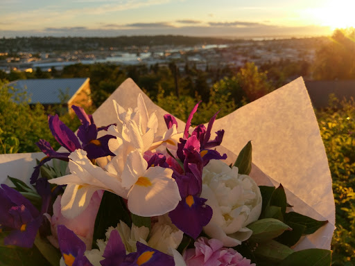 Park «Fremont Peak Park», reviews and photos, 4357 Palatine Ave N, Seattle, WA 98103, USA