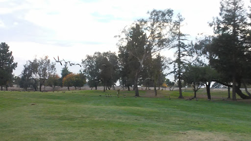 Golf Course «Van Buskirk Municipal Golf Course», reviews and photos, 1740 Houston Ave, Stockton, CA 95206, USA
