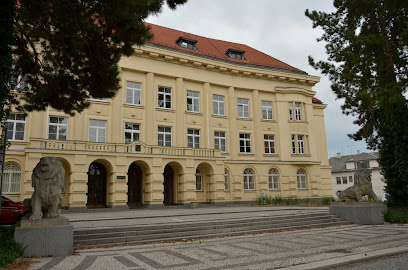 Okresní soud v Mladé Boleslavi