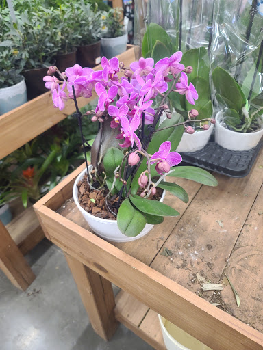 Home Improvement Store «The Home Depot», reviews and photos, 300 Thruway Plaza Dr, Cheektowaga, NY 14225, USA