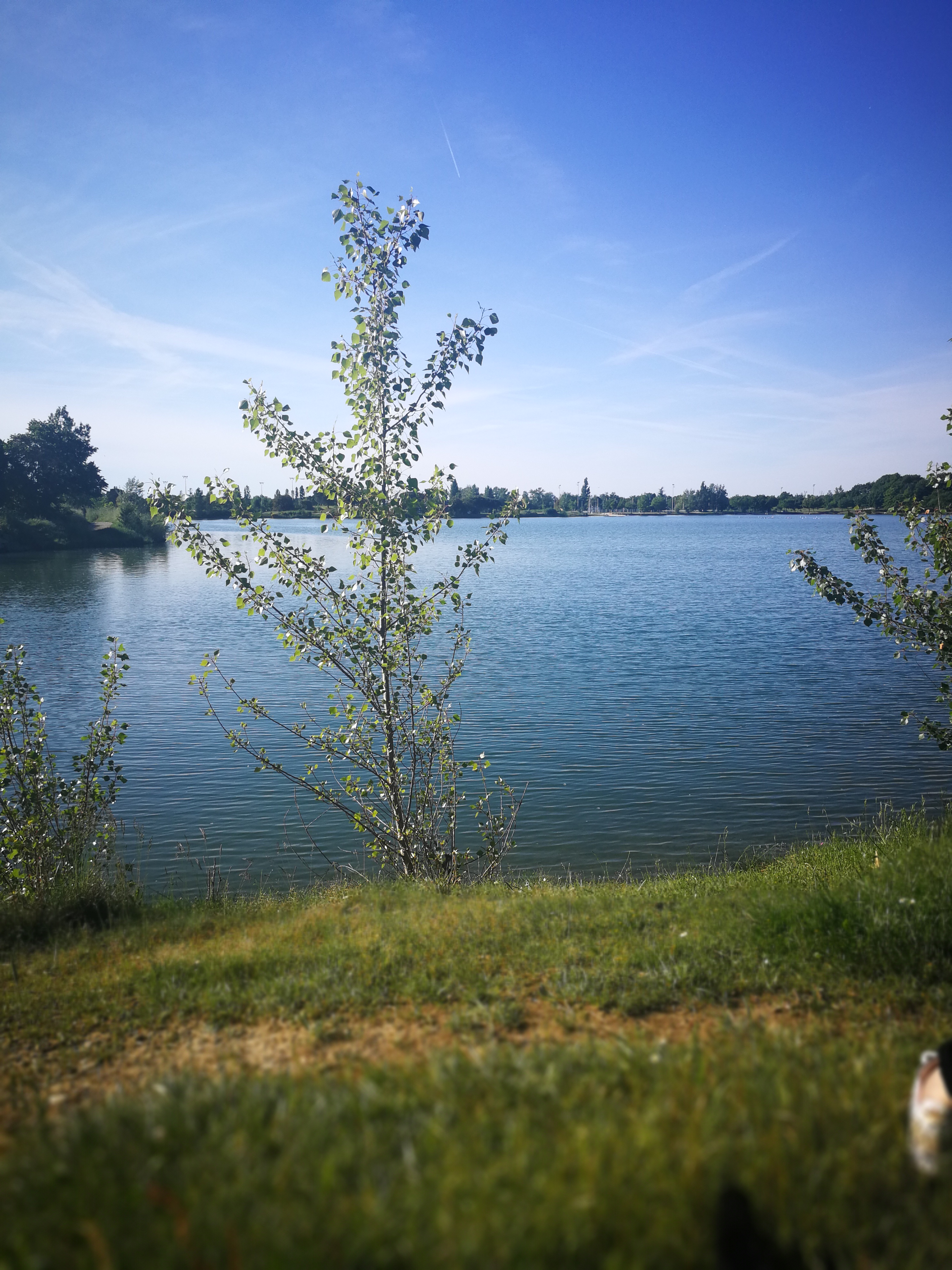 Photo n° 2 de l'avis de Amandine. fait le 11/05/2018 à 22:16