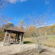 Patricia Ann Byrom Forest Preserve