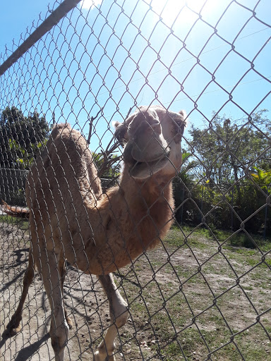 Zoo «Zoological Wildlife Foundation», reviews and photos, 16225 SW 172nd Ave, Miami, FL 33187, USA