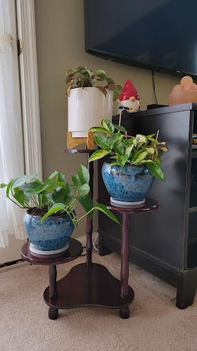 Discount Store «Big Lots», reviews and photos, 19142 Montgomery Village Ave, Gaithersburg, MD 20886, USA