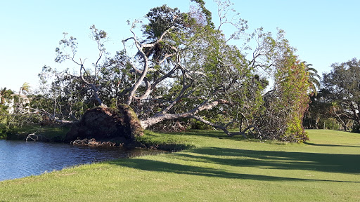 Golf Course «Largo Golf Course», reviews and photos, 12500 Vonn Rd, Largo, FL 33774, USA