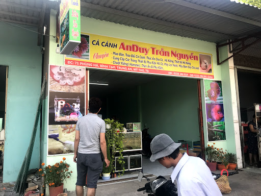 Bảng Hiệu Tiền Giang - 093 2817 093