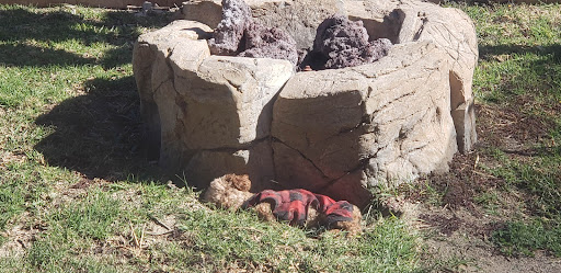 Pet Supply Store «PetSmart», reviews and photos, 17651 Colima Rd, City of Industry, CA 91748, USA