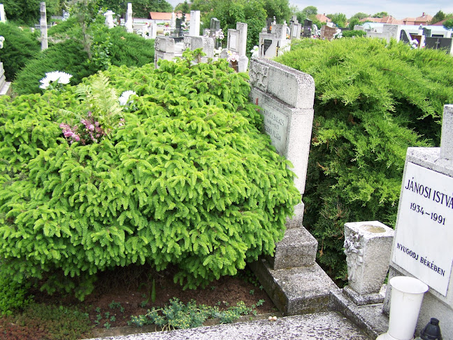 Hozzászólások és értékelések az Szent kereszt temető-ról