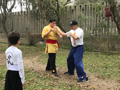 Kung Fu Profesor