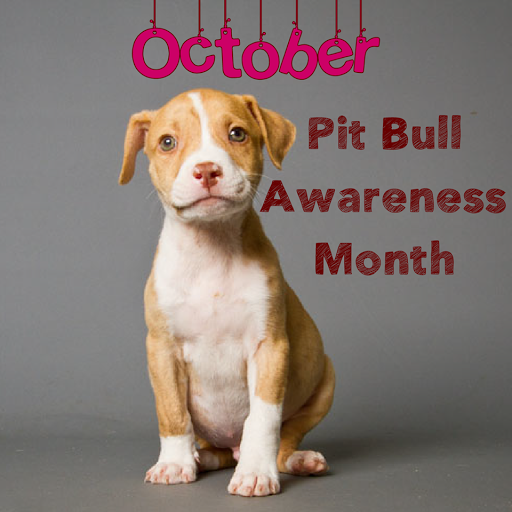 Pet Groomer «Woof Gang Bakery & Grooming Las Vegas», reviews and photos, 7080 N Durango Dr #140, Las Vegas, NV 89149, USA