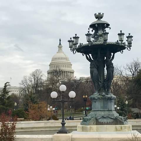 Sightseeing Tour Agency «Old Town Trolley and DC Duck Tours», reviews and photos, 50 Massachusetts Ave NE, Washington, DC 20002, USA