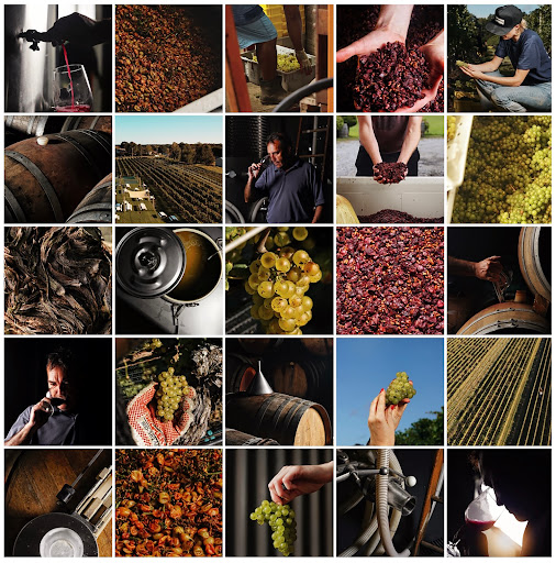 Winery «Laurel Lake Vineyards», reviews and photos, 3165 Main Rd, Laurel, NY 11948, USA